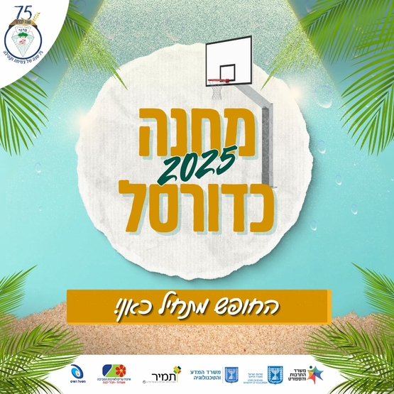 תמונת מופע: מחנה כדורסל - קיץ 2025